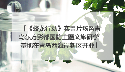 《蛟龙行动》实景片场暨青岛东方影都国防主题文旅研学基地在青岛西海岸新区开业