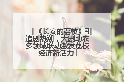 《长安的荔枝》引追剧热潮，大剧助农多领域联动激发荔枝经济新活力