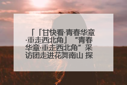 「甘快看·青春华章·重走西北角」“青春华章·重走西北角”采访团走进花舞南山 探寻天水乡村振兴之路