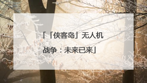 「侠客岛」无人机战争：未来已来