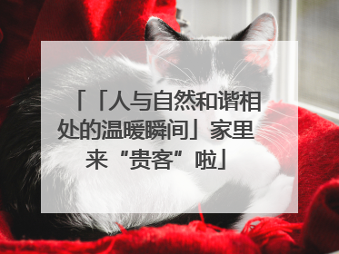 「人与自然和谐相处的温暖瞬间」家里来“贵客”啦