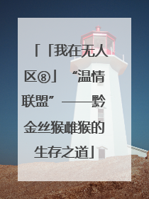 「我在无人区⑧」“温情联盟”——黔金丝猴雌猴的生存之道