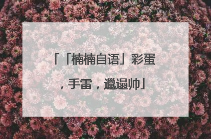 「楠楠自语」彩蛋，手雷，邋遢帅