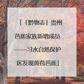 「黔物志」贵州芭蕉家族新增成员——习水自然保护区发现黄苞芭蕉
