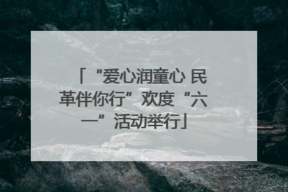 “爱心润童心 民革伴你行”欢度“六一”活动举行