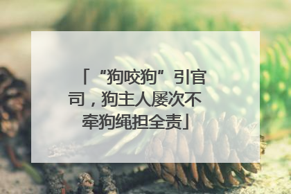 “狗咬狗”引官司，狗主人屡次不牵狗绳担全责