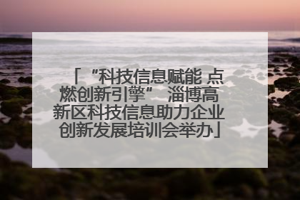 “科技信息赋能 点燃创新引擎” 淄博高新区科技信息助力企业创新发展培训会举办