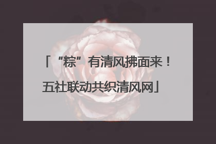 “粽”有清风拂面来！五社联动共织清风网