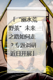 “丽水荒野茶”未来之路如何走？专题调研近日开展