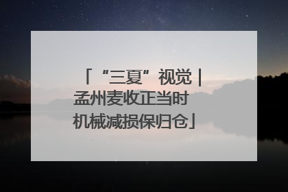 “三夏”视觉｜孟州麦收正当时 机械减损保归仓