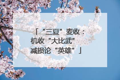 “三夏”麦收：机收“大比武” 减损论“英雄”