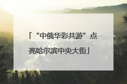 “中俄华彩共游”点亮哈尔滨中央大街