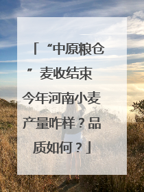 “中原粮仓”麦收结束 今年河南小麦产量咋样？品质如何？