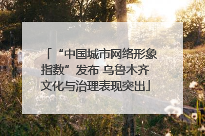 “中国城市网络形象指数”发布 乌鲁木齐文化与治理表现突出