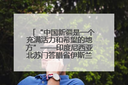 “中国新疆是一个充满活力和希望的地方”——印度尼西亚北苏门答腊省伊斯兰教代表团参访新疆