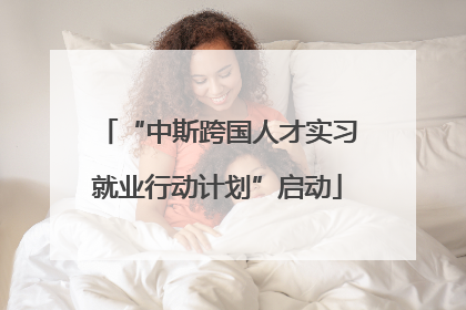 “中斯跨国人才实习就业行动计划”启动