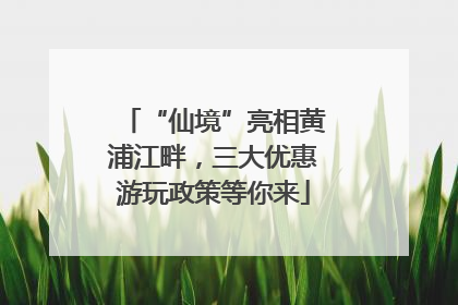 “仙境”亮相黄浦江畔，三大优惠游玩政策等你来