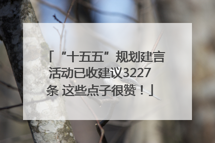 “十五五”规划建言活动已收建议3227条 这些点子很赞！