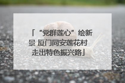 “党群莲心”绘新景 厦门同安莲花村走出特色振兴路