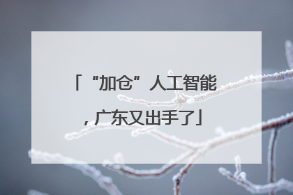 “加仓”人工智能，广东又出手了