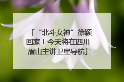 “北斗女神”徐颖回家！今天将在四川眉山主讲卫星导航