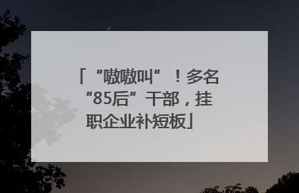 “嗷嗷叫”！多名“85后”干部，挂职企业补短板