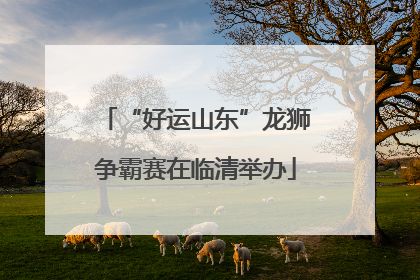 “好运山东”龙狮争霸赛在临清举办
