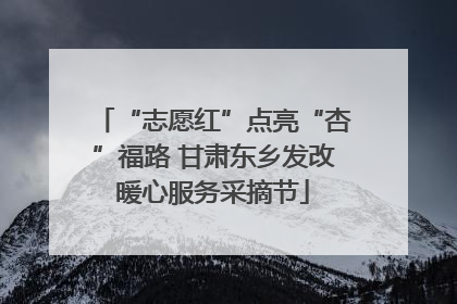 “志愿红”点亮“杏”福路 甘肃东乡发改暖心服务采摘节
