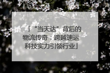 “当天达”背后的物流传奇：跨越速运科技实力引领行业