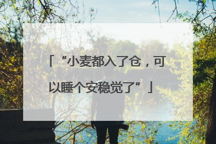 “小麦都入了仓，可以睡个安稳觉了”