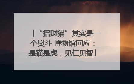“招财猫”其实是一个熨斗 博物馆回应：是猫是虎，见仁见智