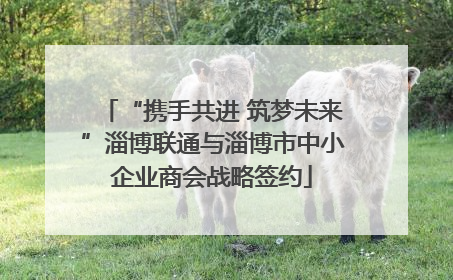 “携手共进 筑梦未来”淄博联通与淄博市中小企业商会战略签约