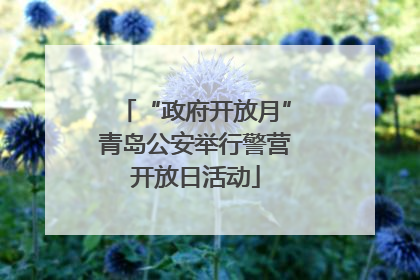 “政府开放月”青岛公安举行警营开放日活动