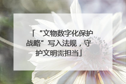 “文物数字化保护战略”写入法规，守护文明需担当