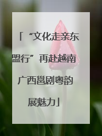 “文化走亲东盟行”再赴越南 广西邕剧粤韵展魅力