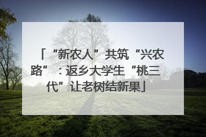 “新农人”共筑“兴农路”：返乡大学生“桃三代”让老树结新果