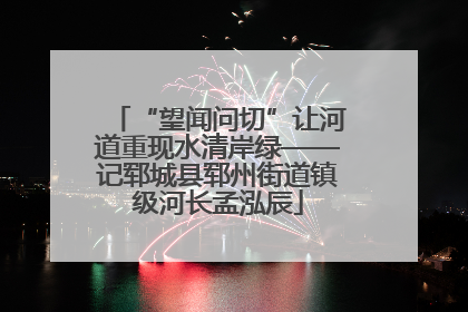 “望闻问切”让河道重现水清岸绿——记郓城县郓州街道镇级河长孟泓辰