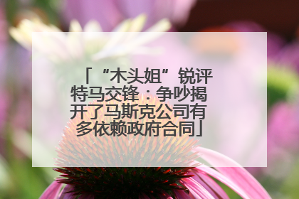 “木头姐”锐评特马交锋：争吵揭开了马斯克公司有多依赖政府合同