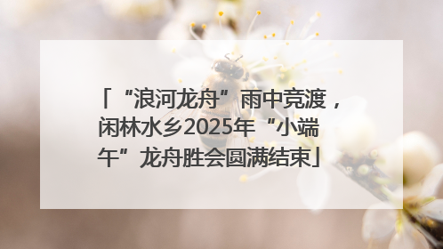 “浪河龙舟”雨中竞渡，闲林水乡2025年“小端午”龙舟胜会圆满结束