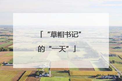 “草帽书记”的“一天”
