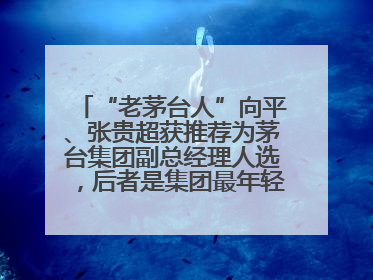“老茅台人”向平、张贵超获推荐为茅台集团副总经理人选，后者是集团最年轻党委委员