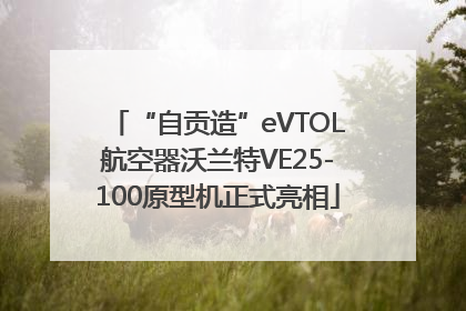 “自贡造”eVTOL航空器沃兰特VE25-100原型机正式亮相