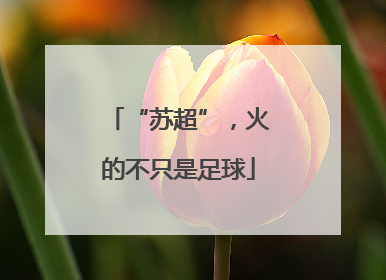 “苏超”，火的不只是足球
