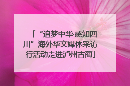 “追梦中华·感知四川”海外华文媒体采访行活动走进泸州古蔺