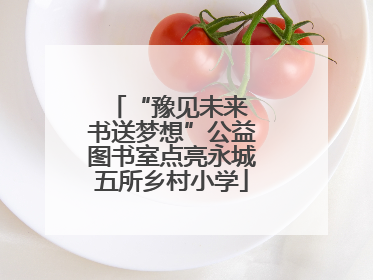 “豫见未来 书送梦想”公益图书室点亮永城五所乡村小学