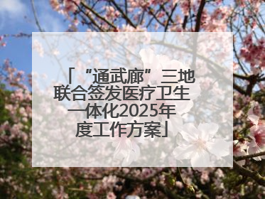 “通武廊”三地联合签发医疗卫生一体化2025年度工作方案