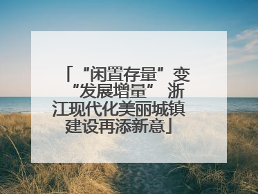 “闲置存量”变“发展增量” 浙江现代化美丽城镇建设再添新意