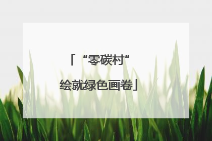 “零碳村” 绘就绿色画卷