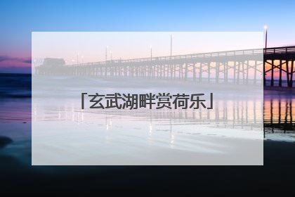 玄武湖畔赏荷乐