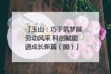 玉山：巧手筑梦展劳动风采 科创赋能谱成长新篇（图）
